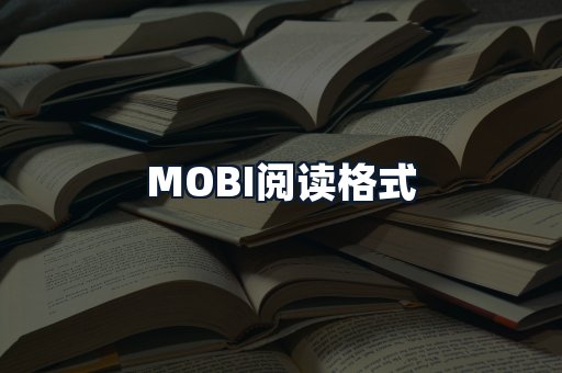 MOBI阅读格式